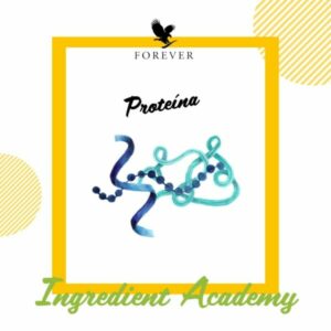 Proteina Forever
